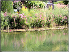 foto Giardini Trauttmansdorff - Giardini acquatici